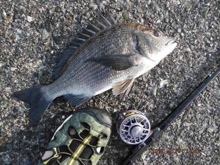 �M���M���Ń{�E�Y����