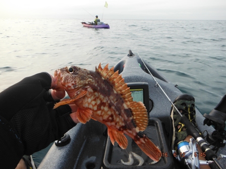 �{�����g�h�s