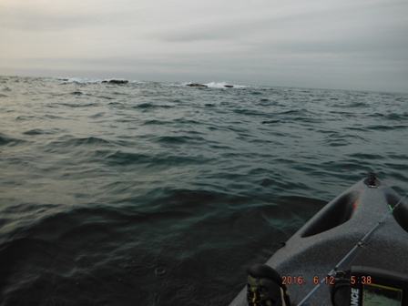 ���߂Ă̈����