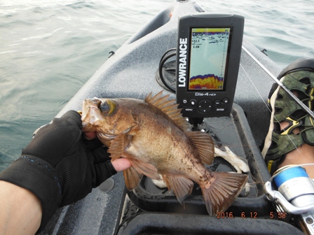 ���̃��o���Ōv��