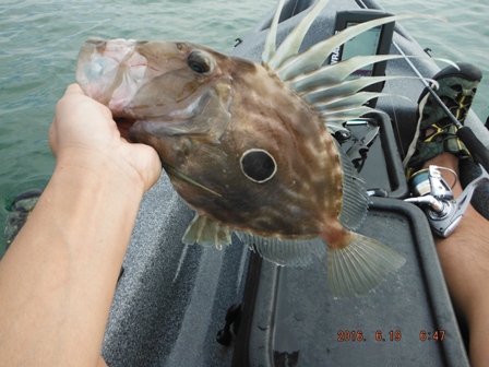 �������}�g�E�_�C