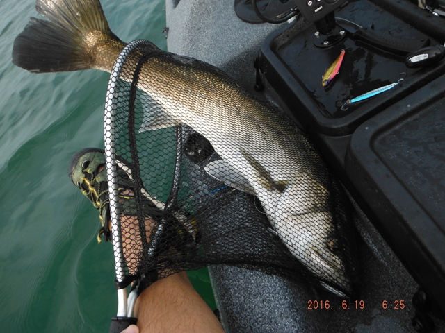 �v�X�̃X�Y�L