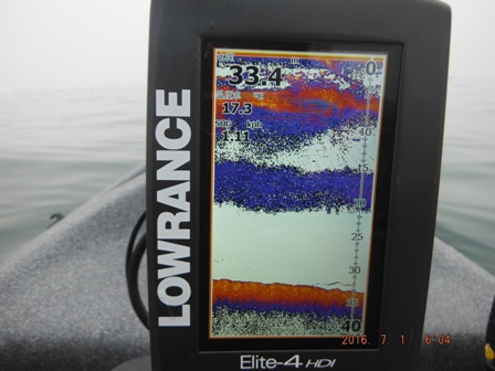 �x�C�g�͌���