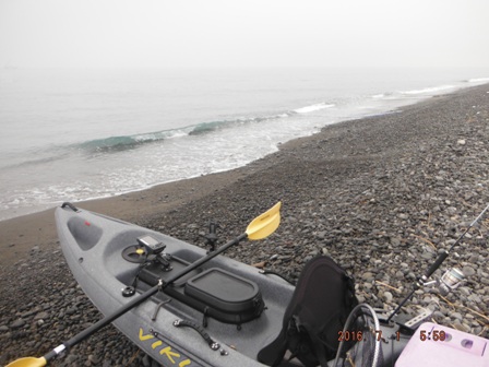 �������ޕl��