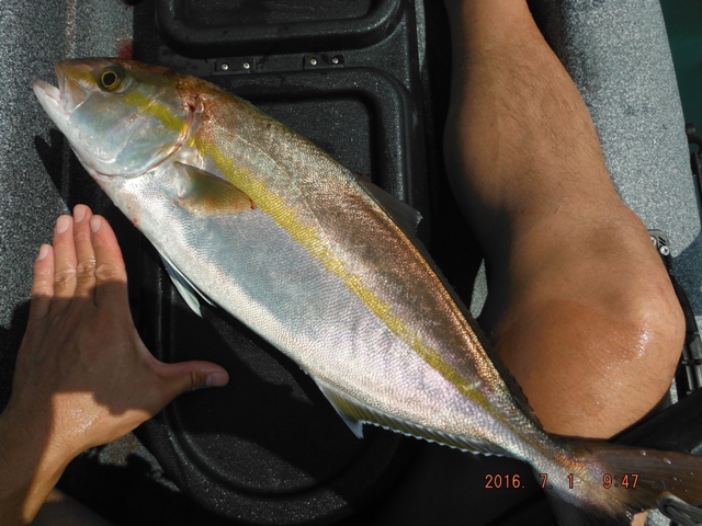 �{�E�Y����̎��O