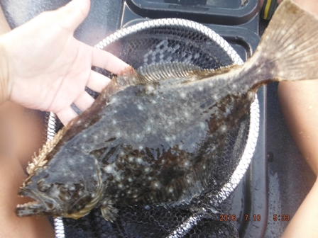 �����������[�X�T�C�Y