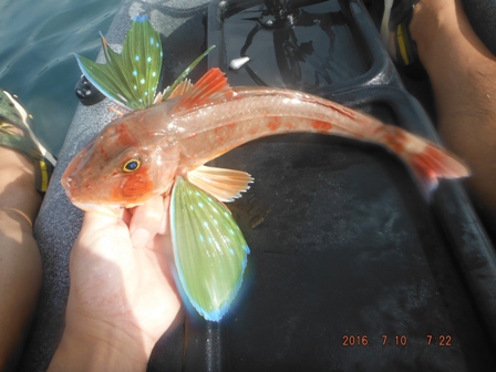 �z�E�{�E�Œ���