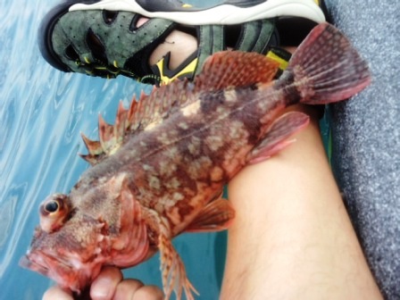 �{���P����