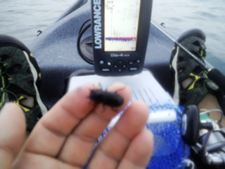 �����̒�����