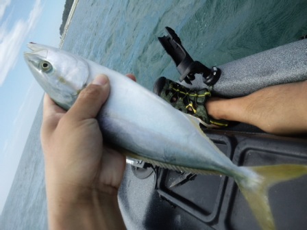 �Ō�̓����[�X�T�C�Y