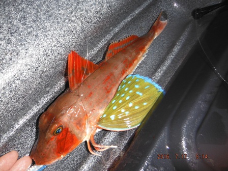 �z�E�{�E���S