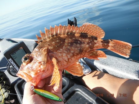 �J�T�S�f�d�s