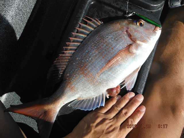 ���b�L�[�^��R�X�b��