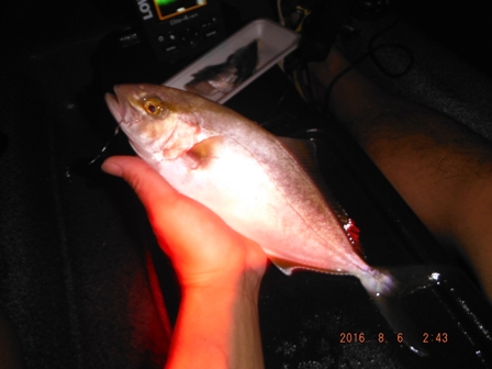 �܂����̐�