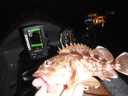 �����[�X�T�C�Y