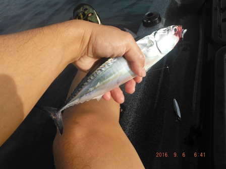 ���N���\�[�_