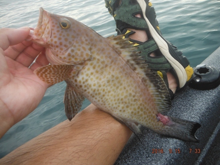 �I�I�����n�^