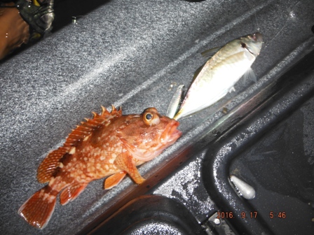 ���������P����