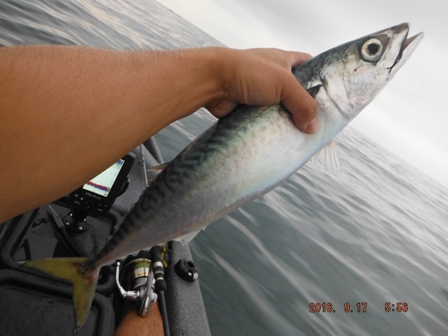 ��������I�f�d�s