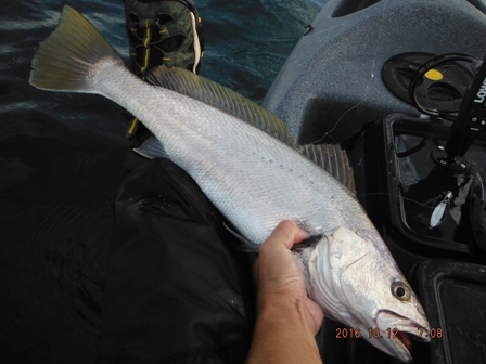 ���I�I�j�x�f�d�s