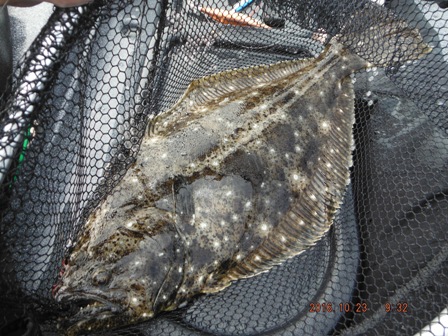 �����[�X�ς�