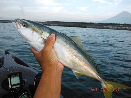 �����[�X�ς�