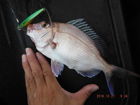 �s�{�ӂȓy�Y