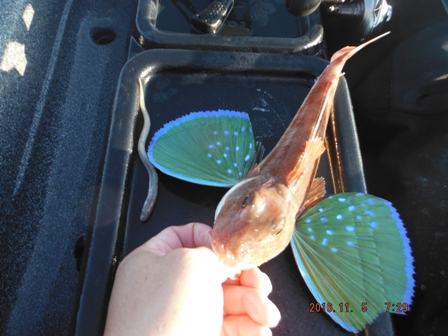 �����[�X�ς�