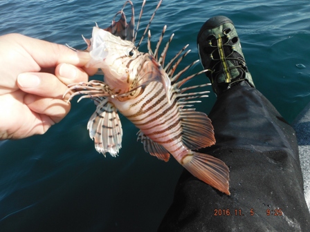 ���A���Ă�