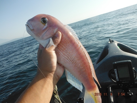 �Q�C�ڂ̃A�}�_�C