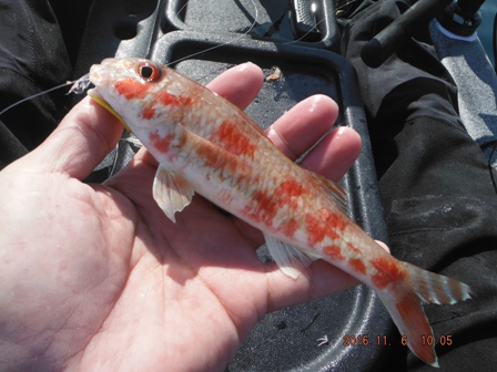 �����̊O���B