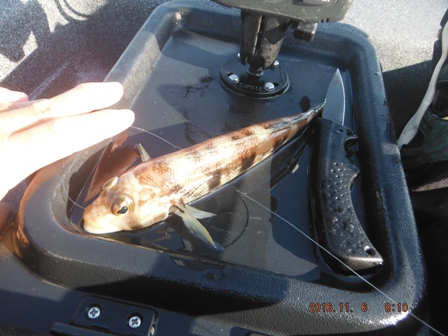 �����̊O���B