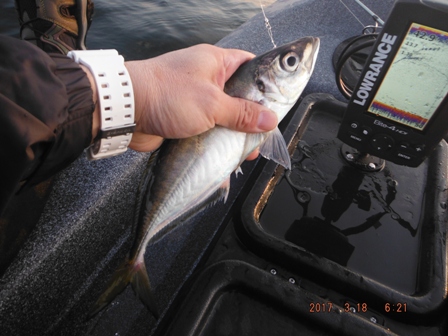 �{���P����