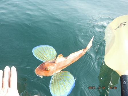 ����͉a�ɗ���