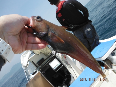 �h���R�f�d�s