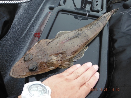 �Ȃ�Ƃ��f�d�s