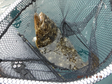 ���܌������I�H