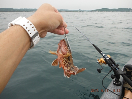 �Ƃ肠�����P����