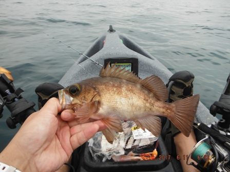 �Q���ڂ̓��o��