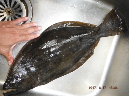 �Ȃ�Ƃ���C