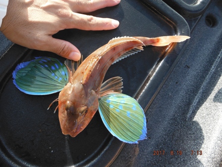 �����[�X�ς�