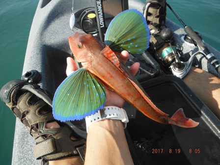 �悤�₭�L�[�v