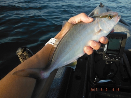 �����[�X�ς�