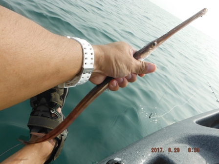 ���A�J���K��