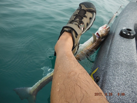 �������G�\