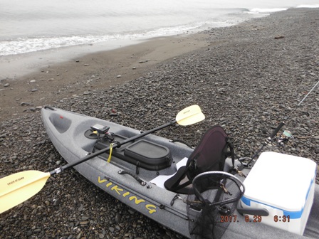 �Q�V�����J�オ��̕l