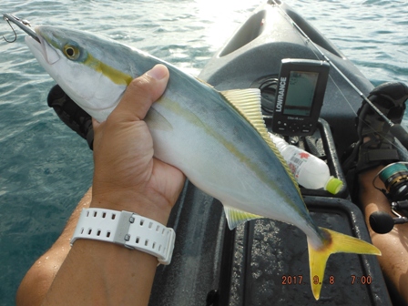 ���J�i�S�����[�X