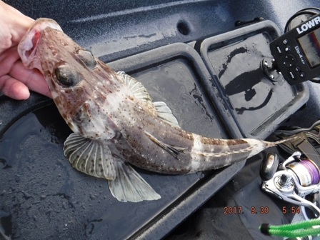 �ł������[�X