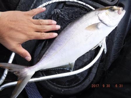 �J���p�`�̓L�[�v