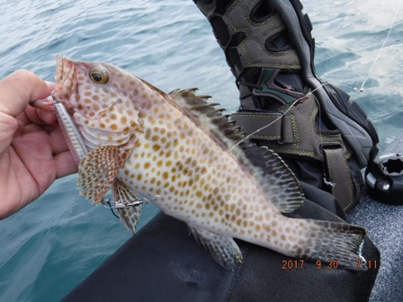 �n�^�������[�X